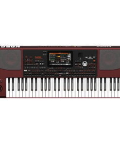ارنجر کرگ Korg PA1000