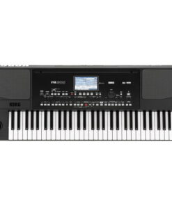 ارنجر کرگ Korg PA300