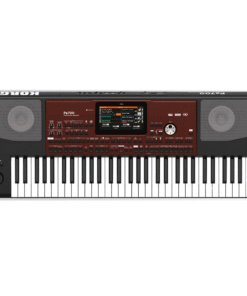Korg PA700 Professional