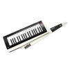 Korg Pro RK-100S | سینتی سایزر کرگ | ارسال رایگان - موزیک آندلس