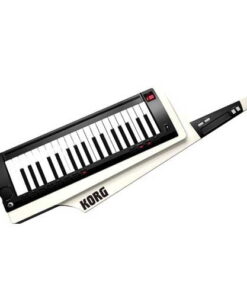 Korg Pro RK-100S | سینتی سایزر کرگ | ارسال رایگان - موزیک آندلس