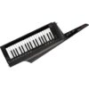 Korg RK 100S 2