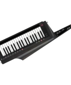 Korg RK 100S 2