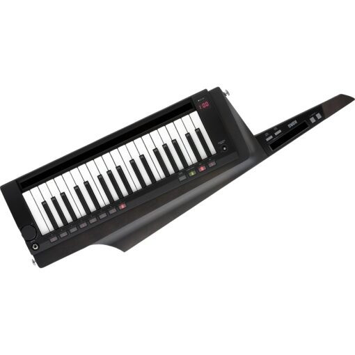 Korg RK 100S 2