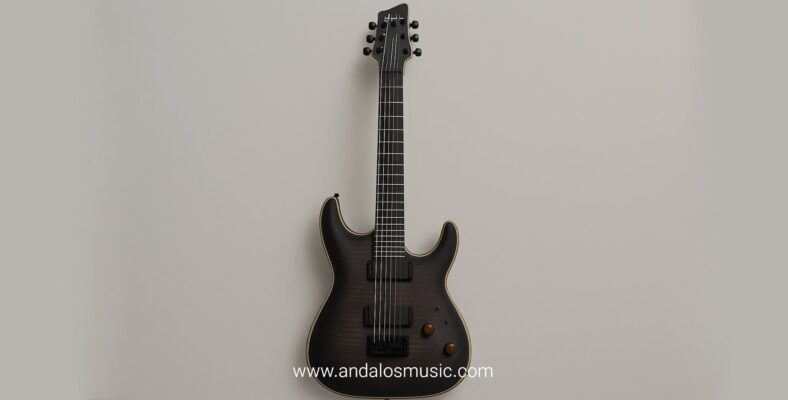 معرفی برند گیتار شکتر