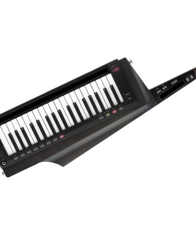 سینتی سایزر Korg RK 100S 2