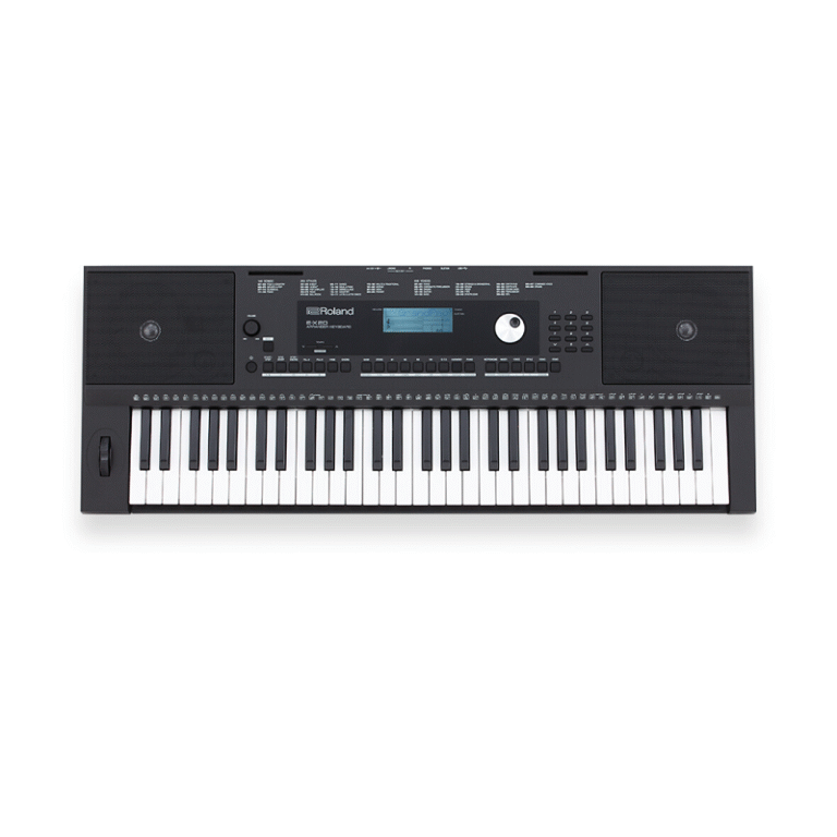 Roland E-X20
