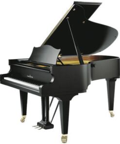 پیانو سی بکشتاین C.B 192