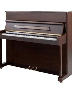 پیانو پتروف P118 p1