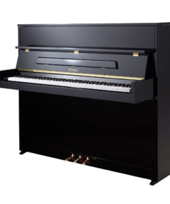 پیانو پتروف P118 S1