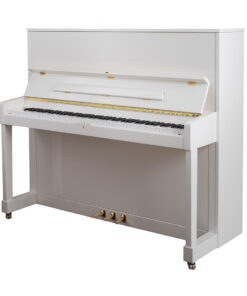 پیانو پتروف P125 M1