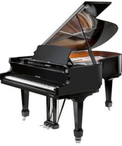 پیانو دابلیو هافمن P206