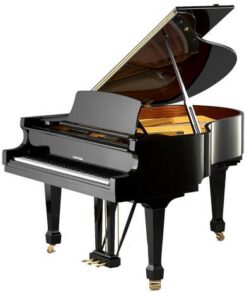 پیانو دابلیو هافمن T161