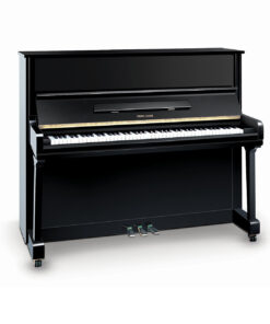 پیانو یانگ چانگ Y121 F2