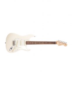 گیتار فندر American Professional Stratocaster