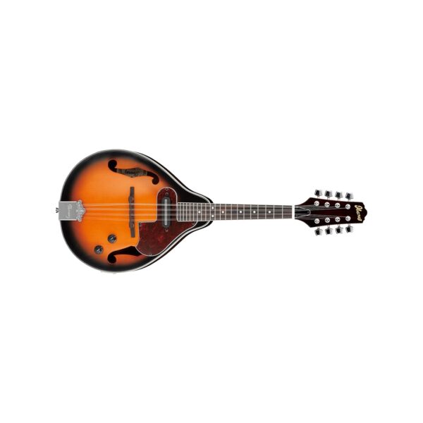 ماندولین آیبانز M510E