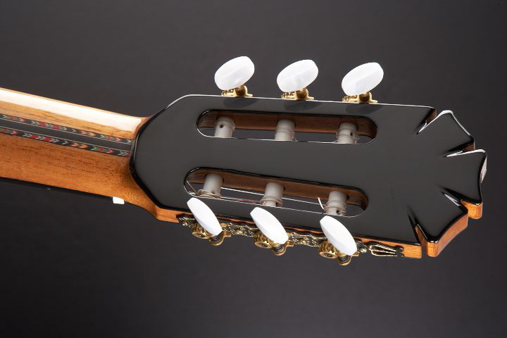 محافظت از گیتار با تقویت کننده آبنوس | چگونه با استفاده از تقویت کننده آبنوس عمر طولانی به گیتار خود ببخشیم؟