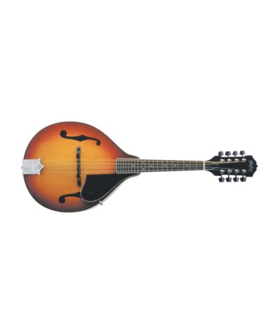 ماندولین واشبرن M1 Mandolin Pack