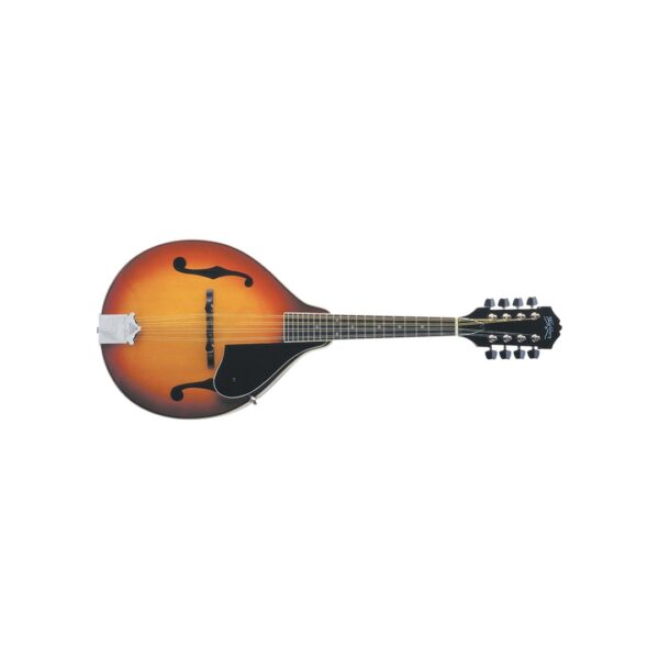 ماندولین واشبرن M1 Mandolin Pack