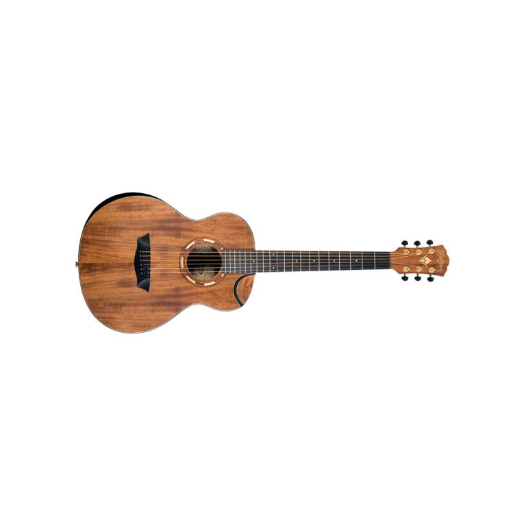 گیتار آکوستیک واشبرن G-Mini 55 Koa