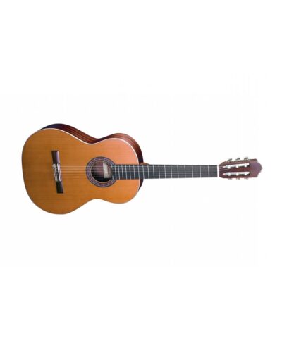 گیتار کلاسیک آلمانزا 401