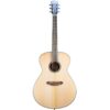 Breedlove Discovery S Dreadnought Concerto - European Spruce-African Mahogany (DSCO01EUAM)