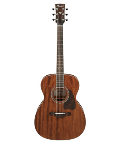 گیتار آکوستیک IBANEZ Artwood AC340 - OPN