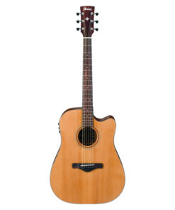 IBANEZ AW65ECE - LG