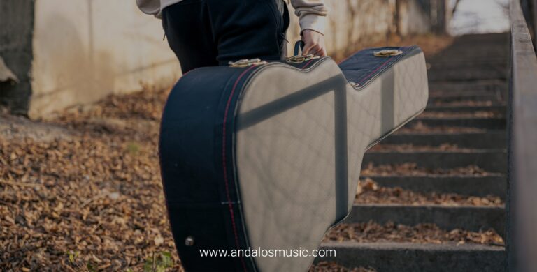 بهترین روشها برای حمل ساز در سفر؛ راهنمای کامل برای نوازندگان 6 حمل ساز در سفر