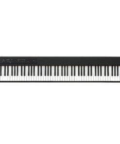 پیانو دیجیتال Korg D1