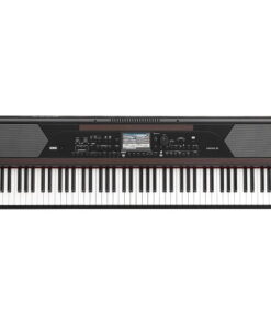 KORG HAVIAN 30