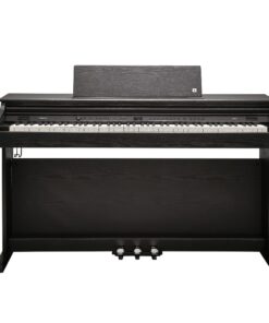KURZWEIL CUP E1