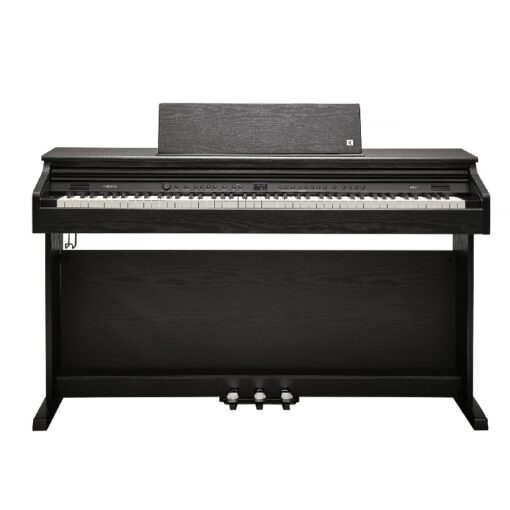 KURZWEIL CUP E1