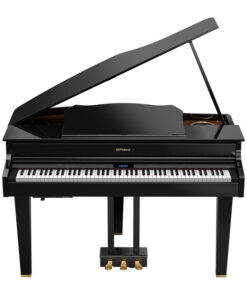Roland GP607-PE