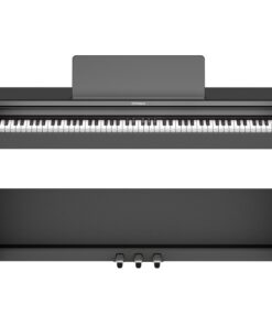 پیانو دیجیتال Roland RP 107