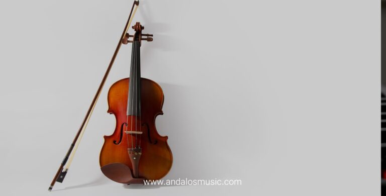 نکات مهم در خرید ویولن برای هنرجویان مبتدی 10 ویولن برای هنرجویان مبتدی